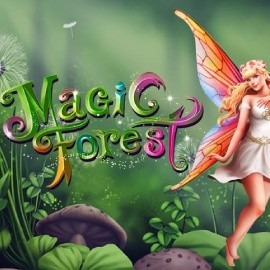 Magic Forest